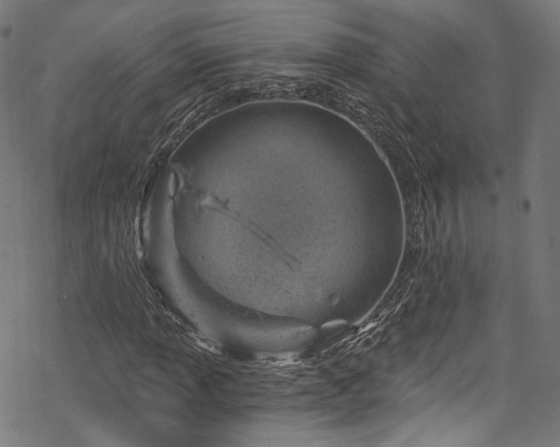 X0000068901013200605081340