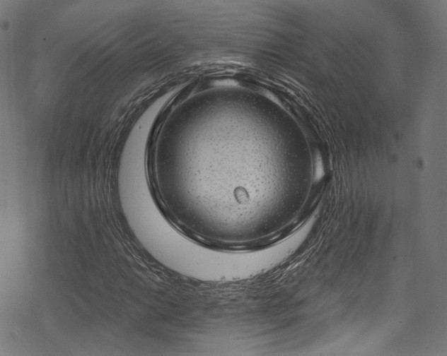 X0000068901014200605081340