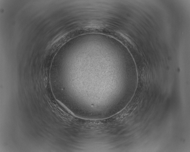 X0000068901015200605081340