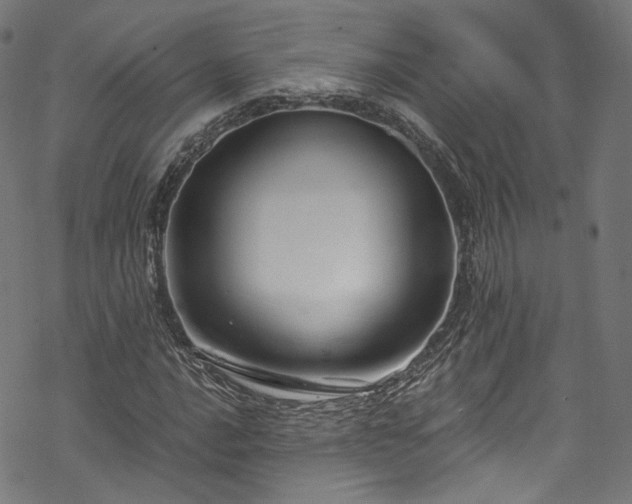 X0000068901016200605081340