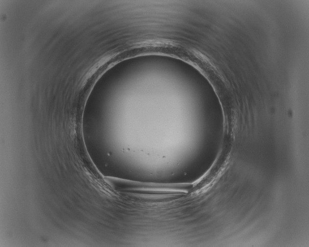 X0000068901017200605081340