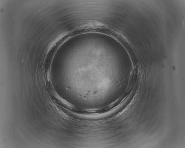 X0000068901018200605081340