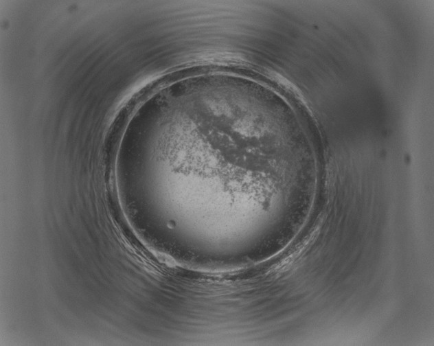 X0000068901019200605081340