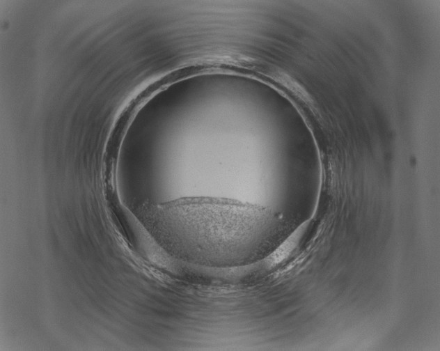 X0000068901020200605081340