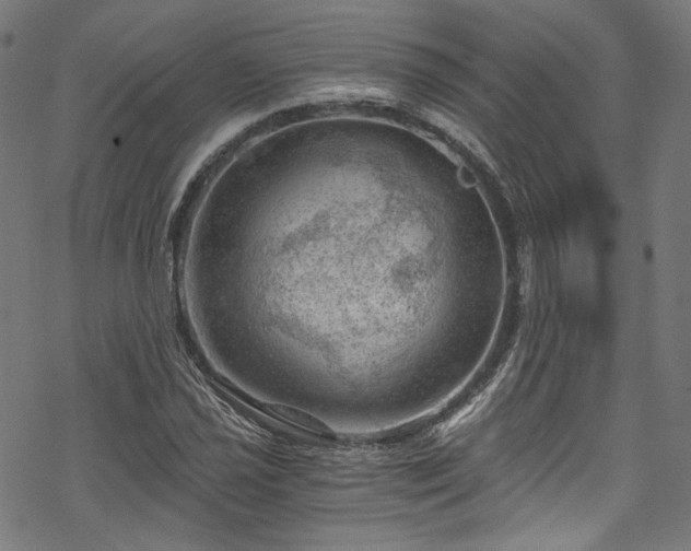 X0000068901021200605081340