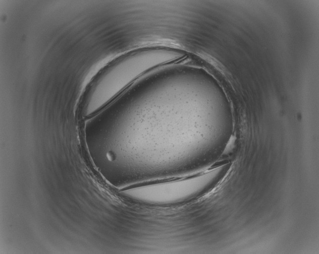 X0000068901022200605081340