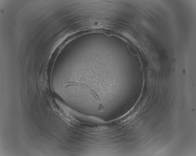 X0000068901023200605081340