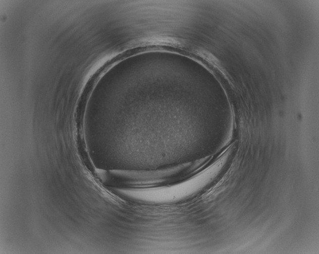 X0000068901024200605081340