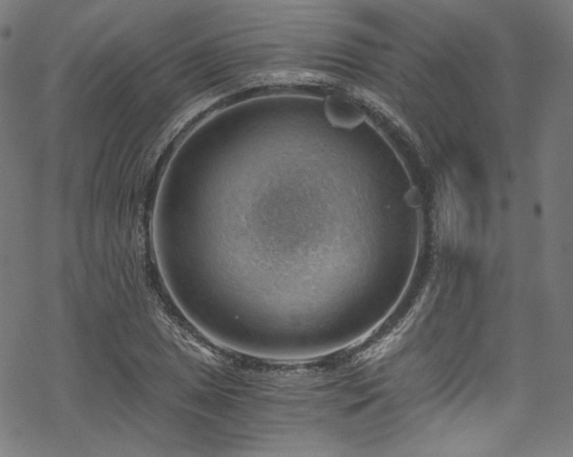 X0000068901025200605081340