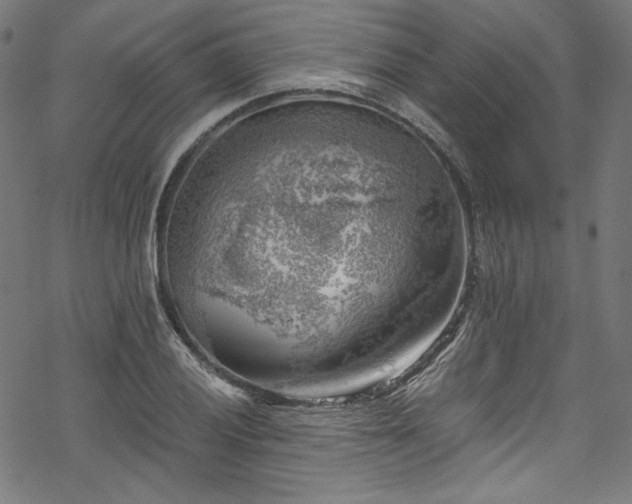 X0000068901028200605081340