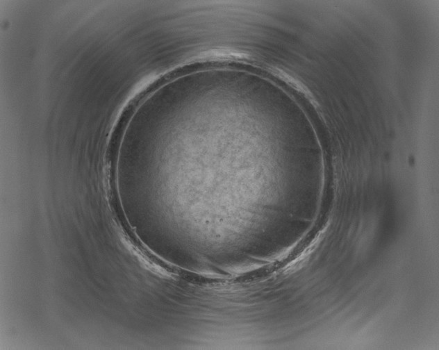 X0000068901029200605081340