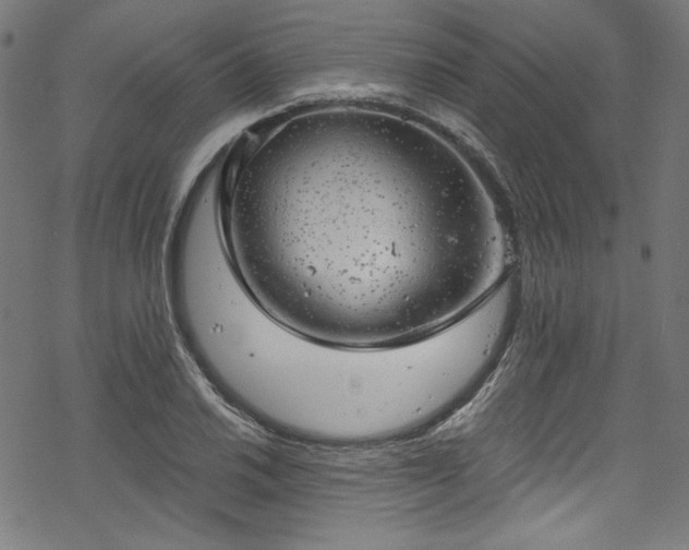 X0000068901030200605081340