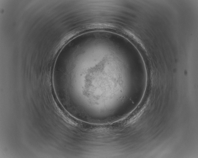 X0000068901033200605081340