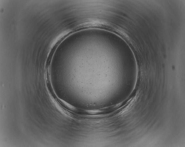 X0000068901034200605081340