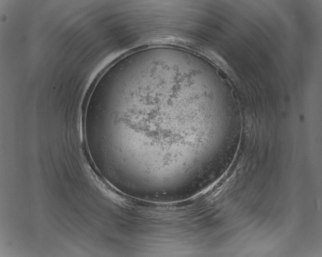 X0000068901036200605081340