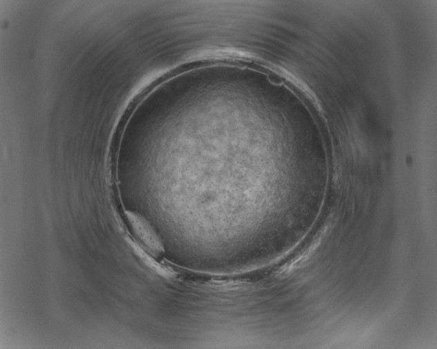 X0000068901037200605081340