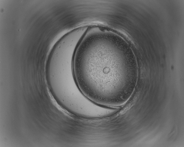 X0000068901038200605081340