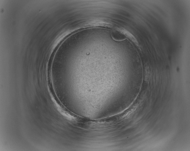 X0000068901039200605081340