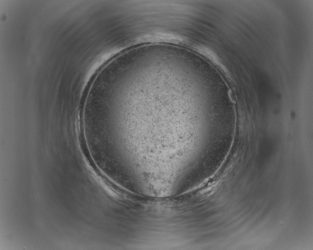 X0000068901040200605081340