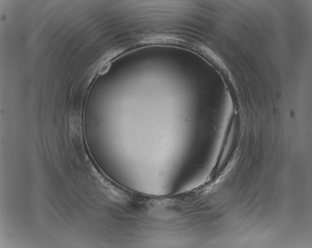 X0000068901041200605081340