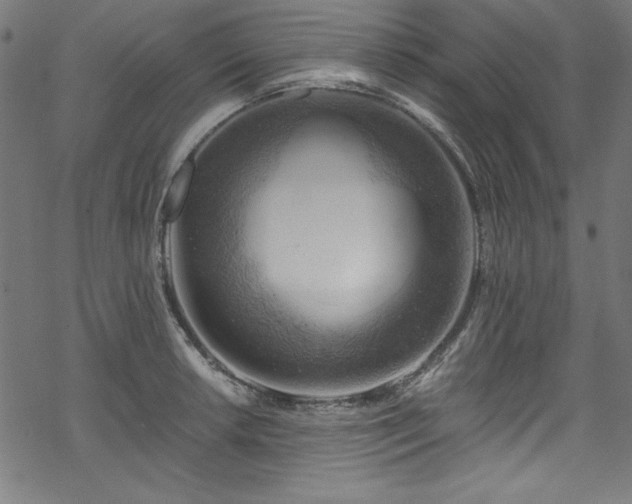 X0000068901042200605081340