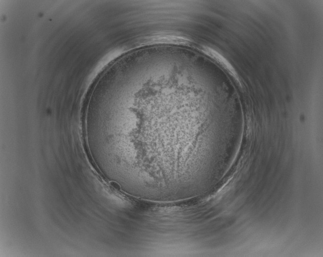 X0000068901043200605081340