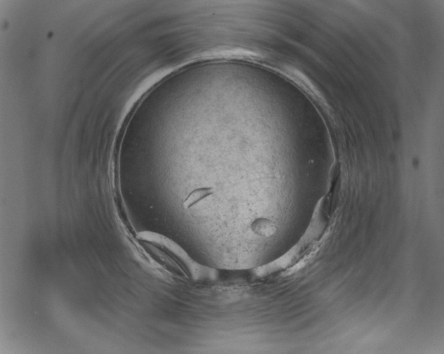 X0000068901044200605081340