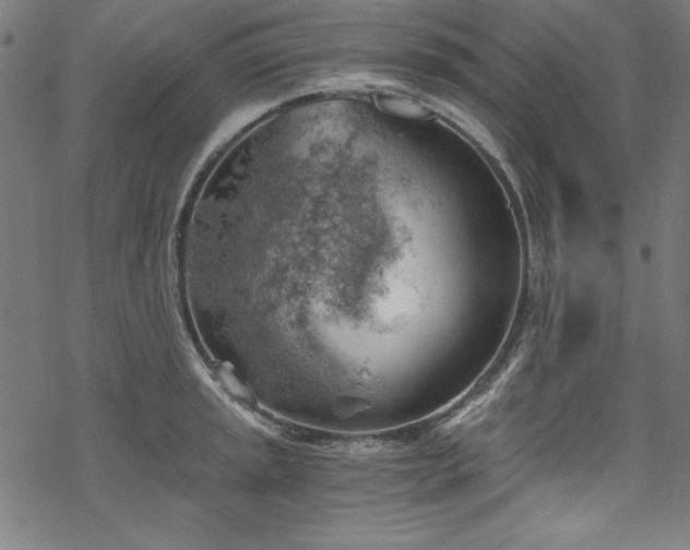 X0000068901045200605081340