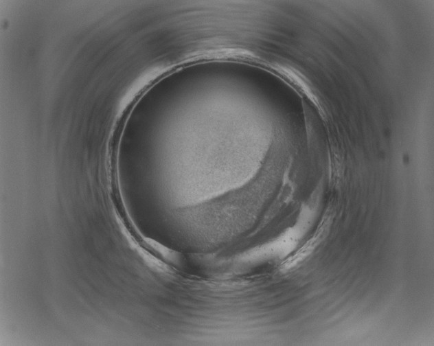 X0000068901046200605081340