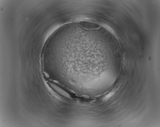 X0000068901047200605081340