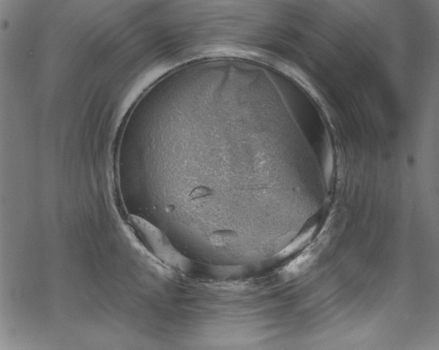 X0000068901048200605081340