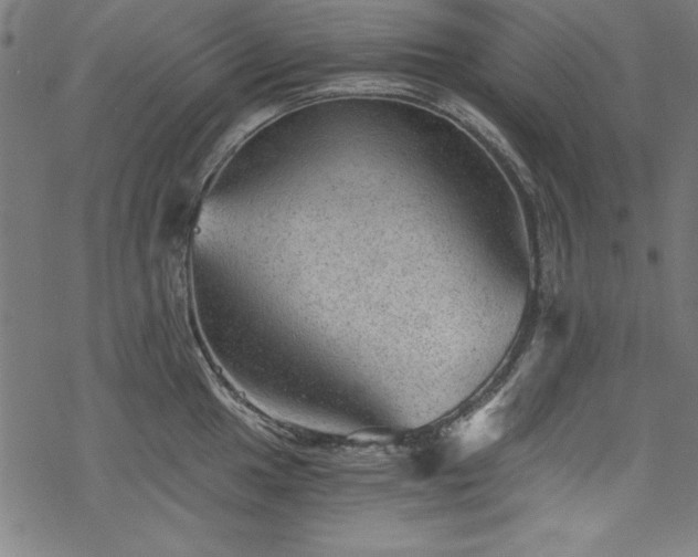 X0000068901049200605081340