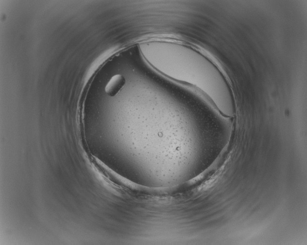 X0000068901050200605081340