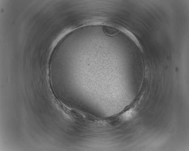 X0000068901051200605081340