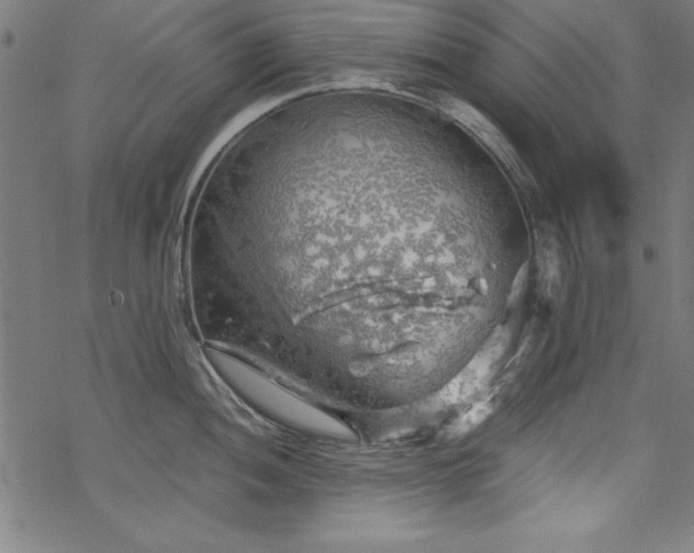 X0000068901052200605081340