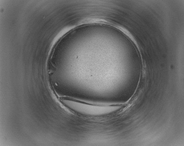 X0000068901053200605081340