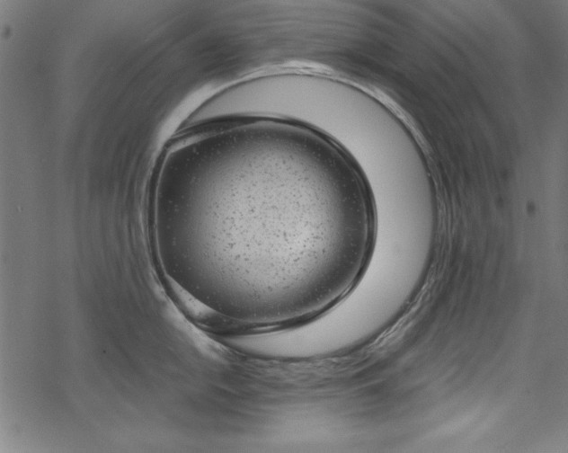 X0000068901054200605081340