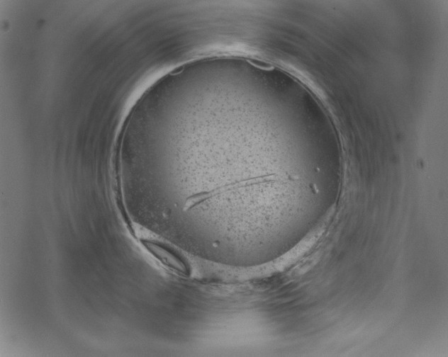 X0000068901056200605081340