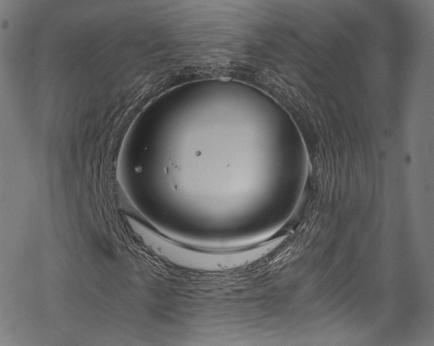 X0000068901057200605081340