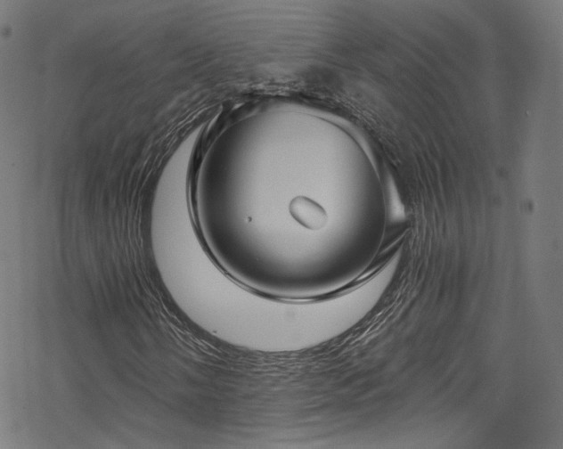 X0000068901058200605081340