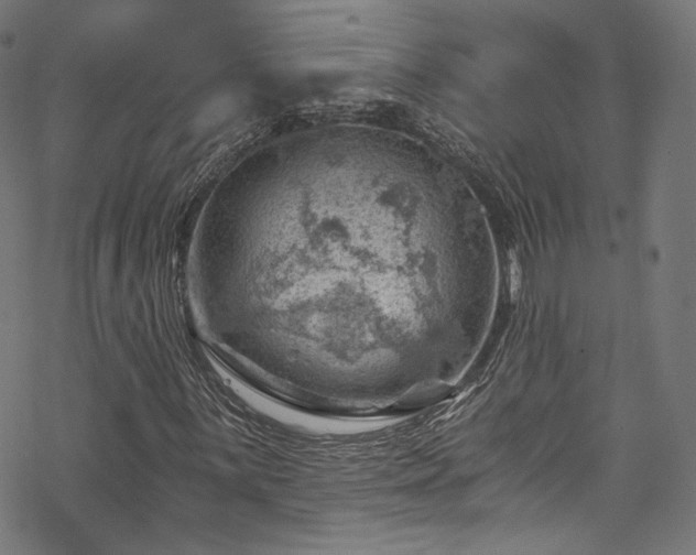 X0000068901059200605081340