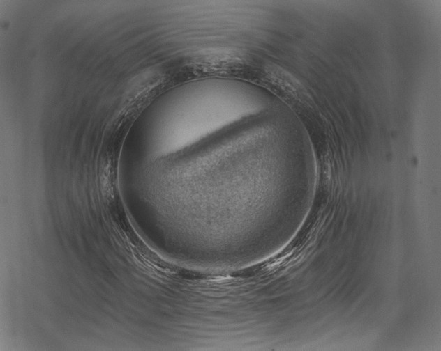 X0000068901060200605081340