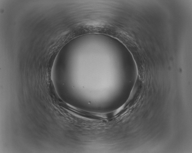 X0000068901061200605081340