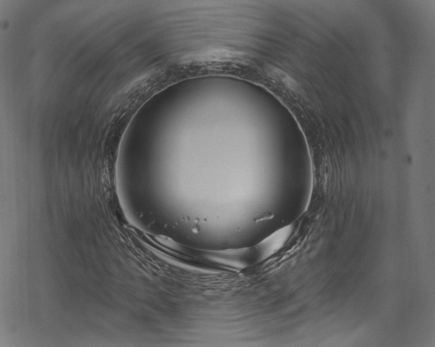 X0000068901062200605081340