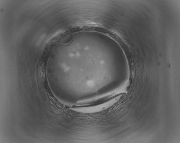 X0000068901063200605081340