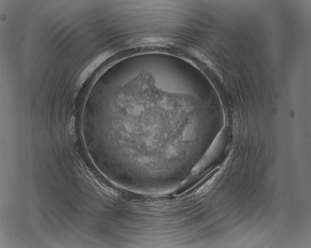 X0000068901066200605081339