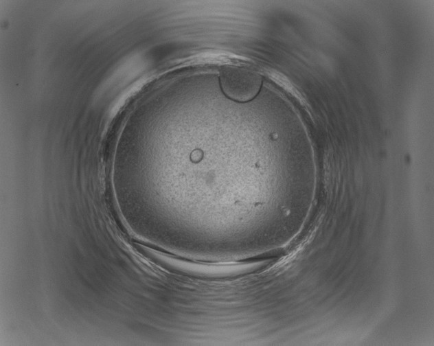 X0000068901067200605081339