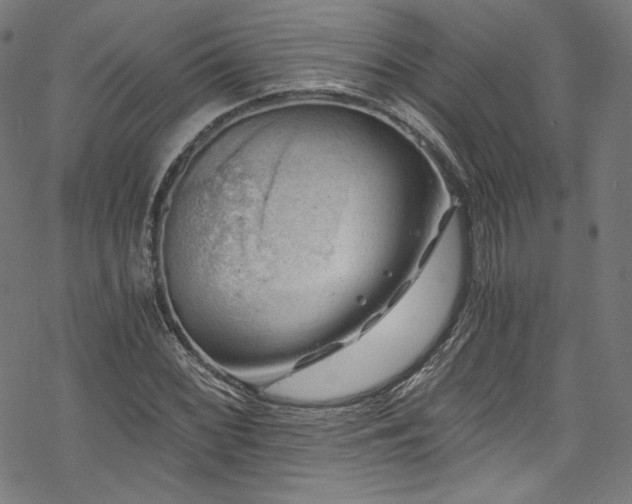 X0000068901068200605081339