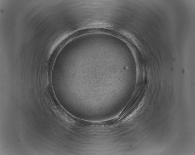 X0000068901069200605081339