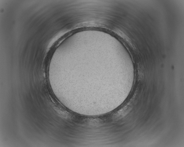 X0000068901070200605081339